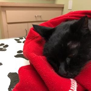 Meet your Posher, Leigh